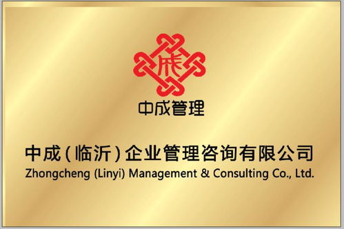 中成 临沂 企业管理咨询