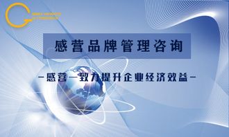 品牌管理策略费用多少